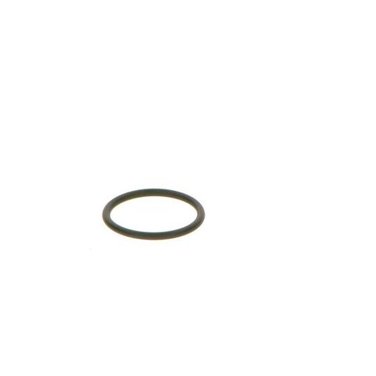 F 00V C38 042 - Seal Ring 