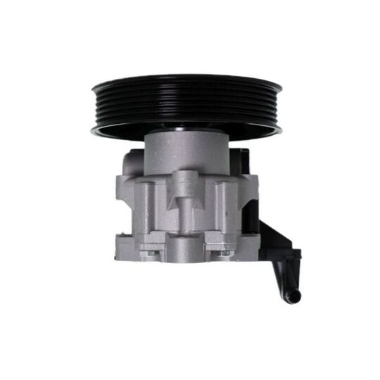 55.2901 - Hydraulic Pump, steering system 