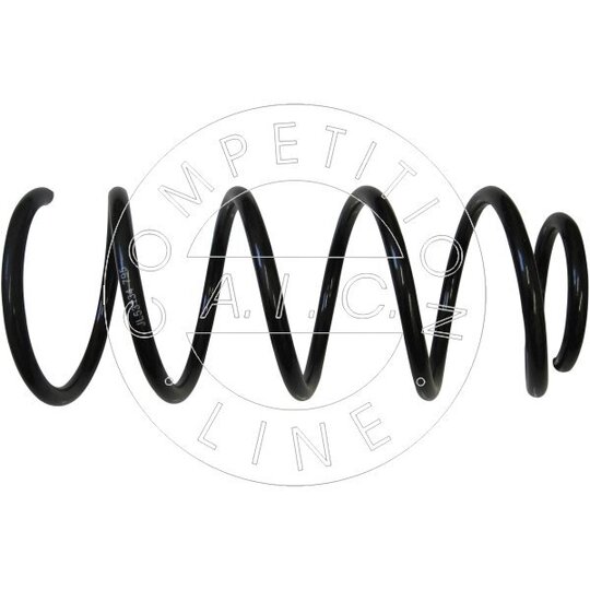 53134 - Coil Spring 