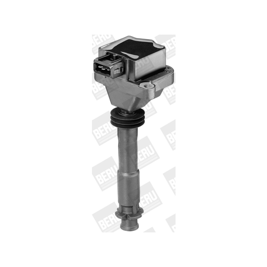 ZS 310 - Ignition coil 