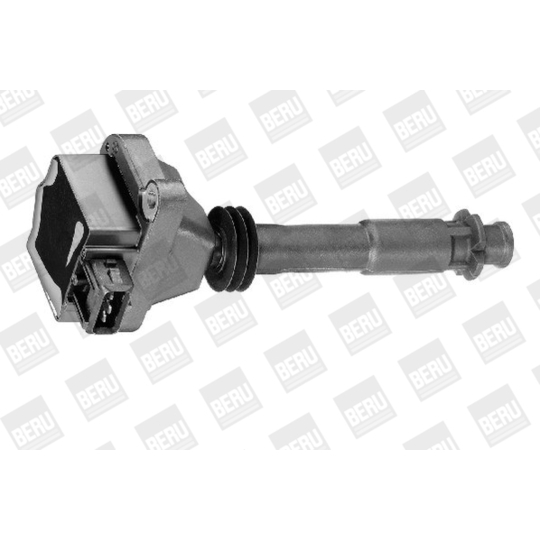 ZS 310 - Ignition coil 