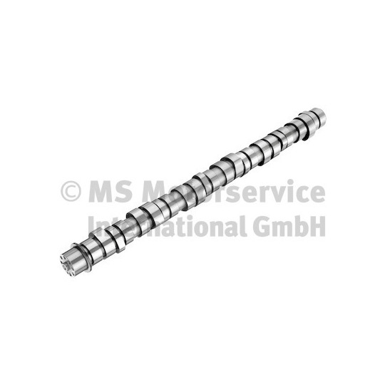 20100413009 - Camshaft 