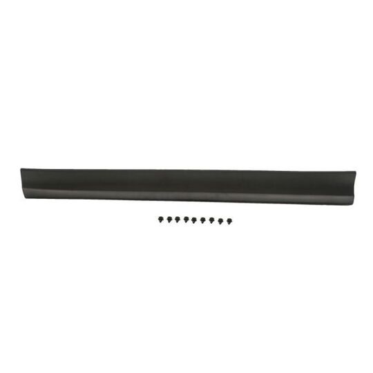 5703-02-6738491P - Trim/Protective Strip, door 