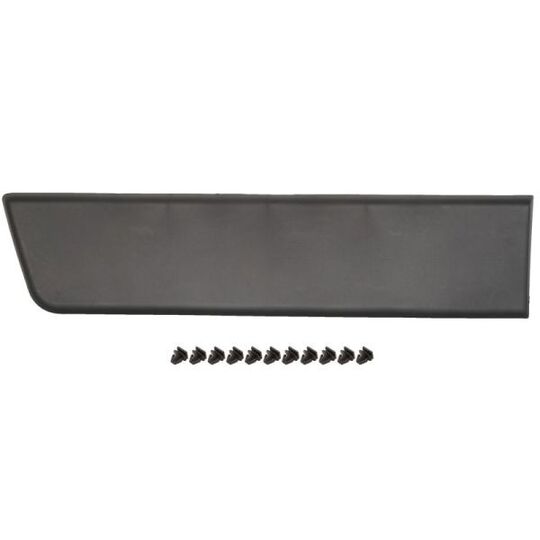 5703-04-2097580P - Trim/Protective Strip, sidewall 