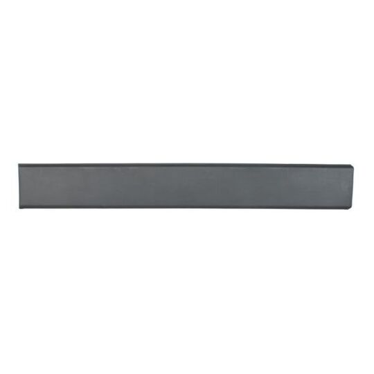 5703-04-2097577P - Trim/Protective Strip, sidewall 