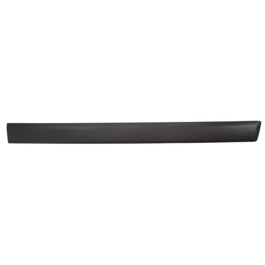 5703-04-2576572PP - Trim/Protective Strip, door 