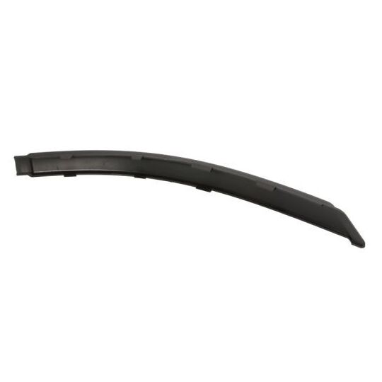 5703-05-2555973P - Trim/Protective Strip, bumper 