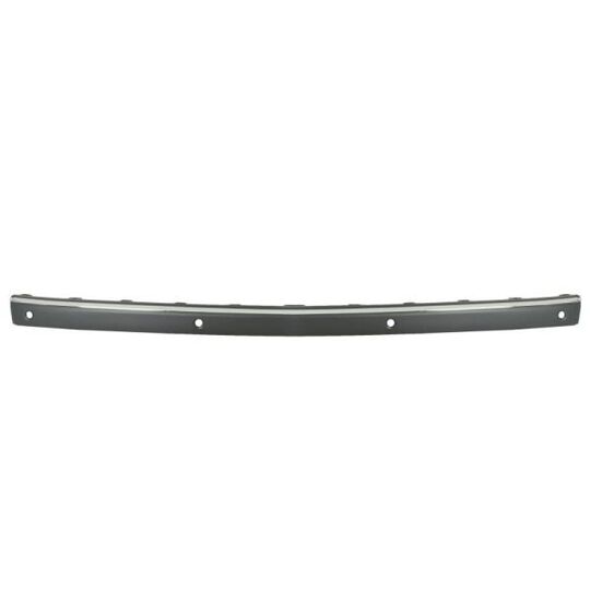 5703-05-3528979P - Trim/Protective Strip, bumper 