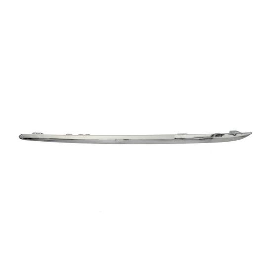 5703-05-3529973P - Trim/Protective Strip, bumper 