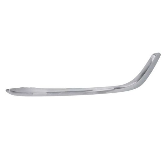 5703-05-5079921P - Trim/Protective Strip, bumper 