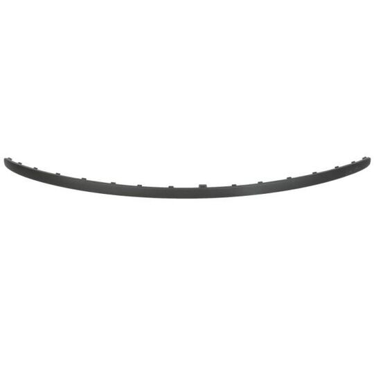 5703-11-2023971P - Trim/Protective Strip, bumper 