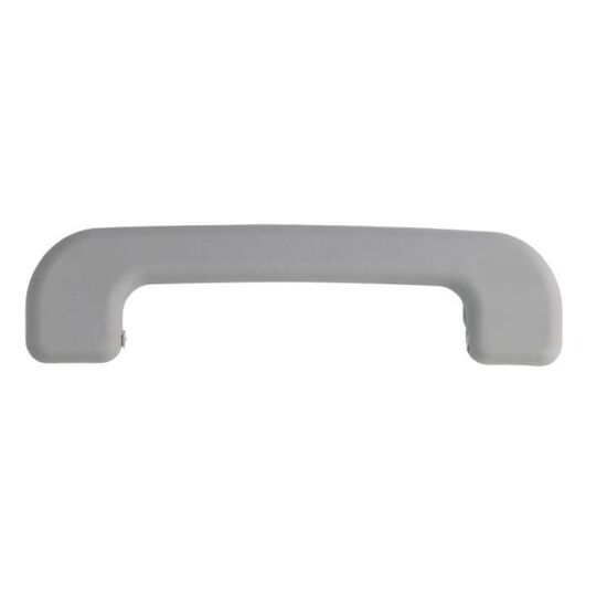 6010-09-030411P - Grab Handle, interior trim 