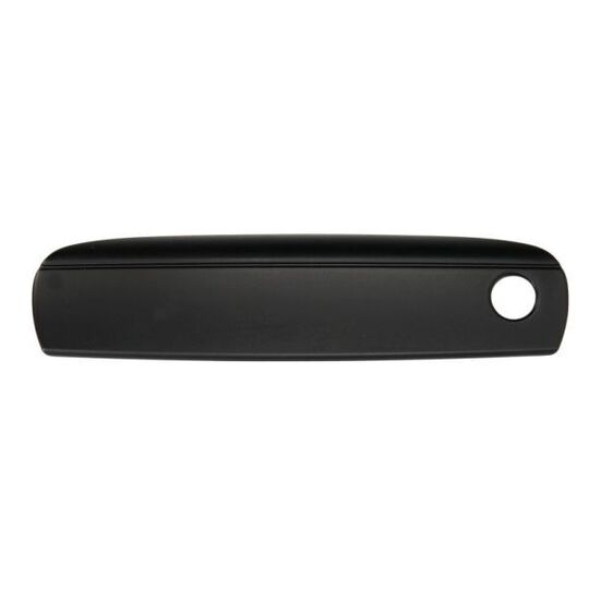 6010-25-048401P - Door Handle 