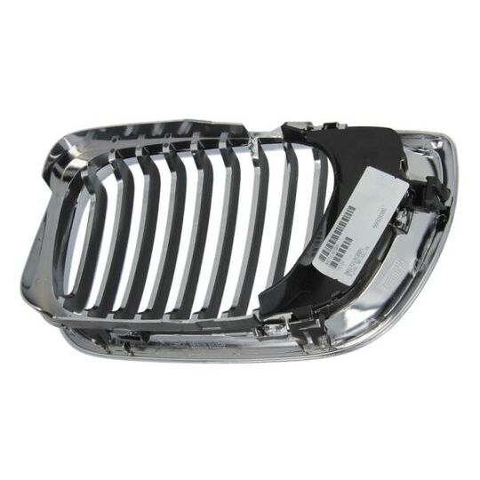 6502-07-0061992PP - Radiator Grille 