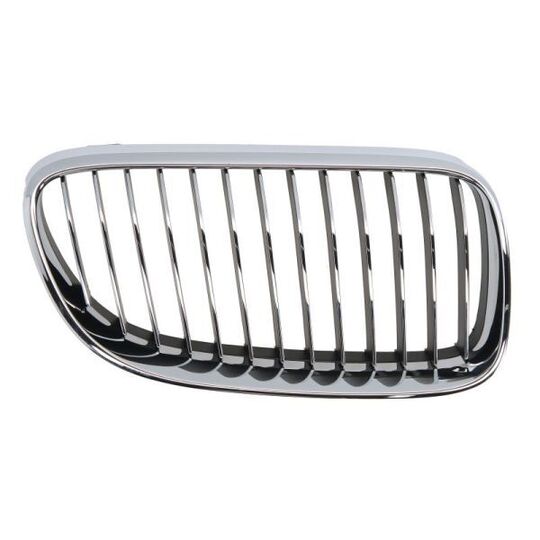 6502-07-00629916PP - Radiator Grille 