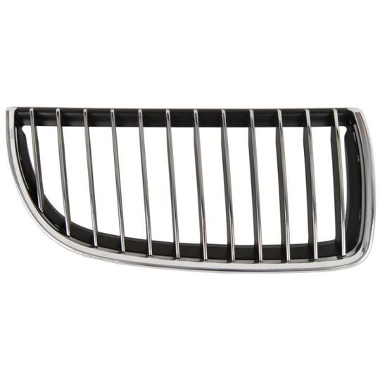 6502-07-0062994P - Radiator Grille 