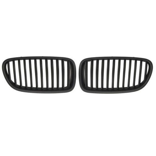 6502-07-0067991KP - Radiator Grille 