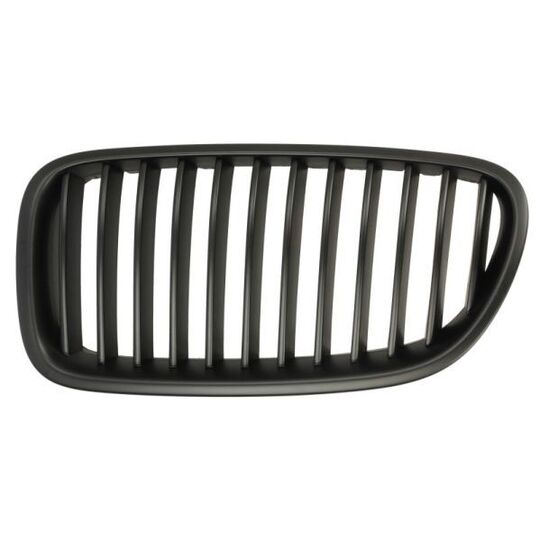 6502-07-0067993BP - Radiator Grille 