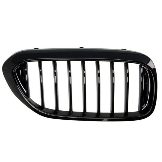 6502-07-0068992P - Radiator Grille 