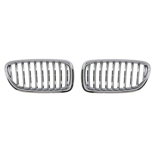 6502-07-0067997BP - Radiator Grille 