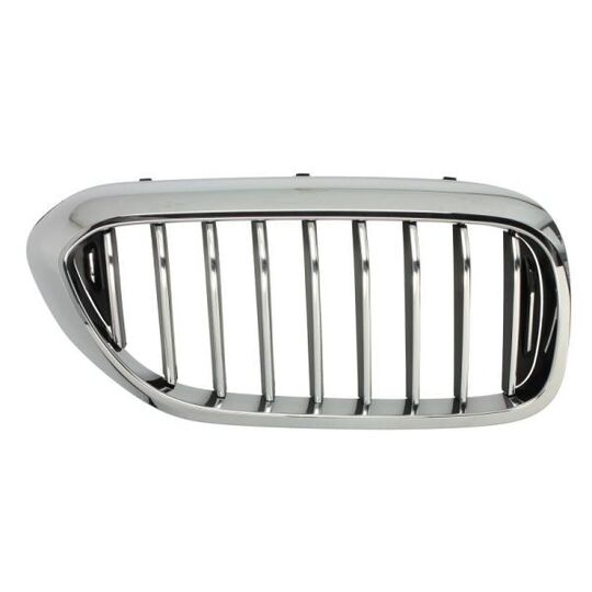 6502-07-0068994P - Radiator Grille 