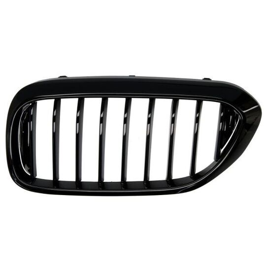 6502-07-0068991P - Radiator Grille 