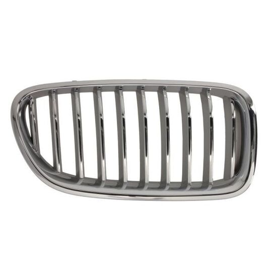 6502-07-0067998CP - Radiator Grille 