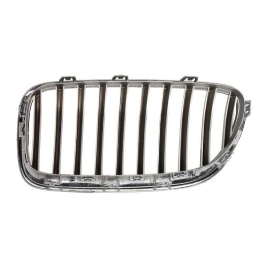 6502-07-0067998CP - Radiator Grille 