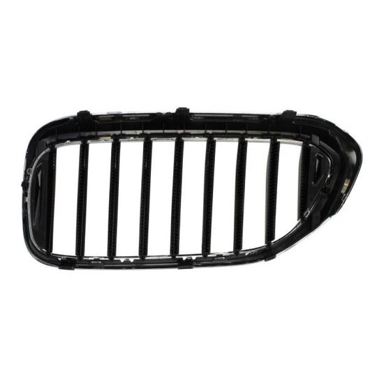 6502-07-0068994P - Radiator Grille 