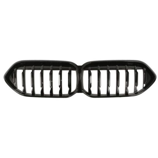 6502-07-0073990P - Radiator Grille 