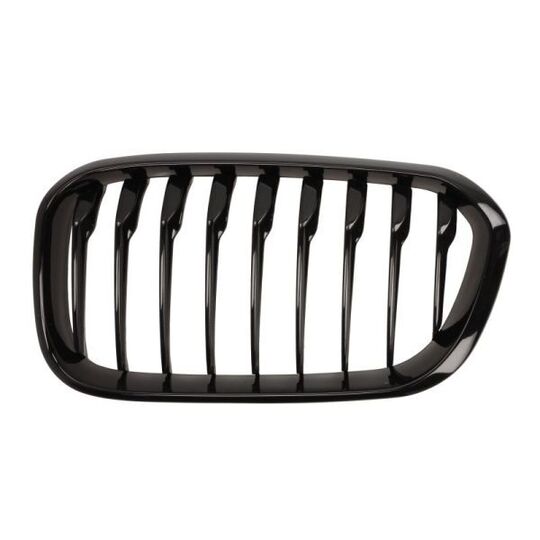 6502-07-0086997P - Radiator Grille 