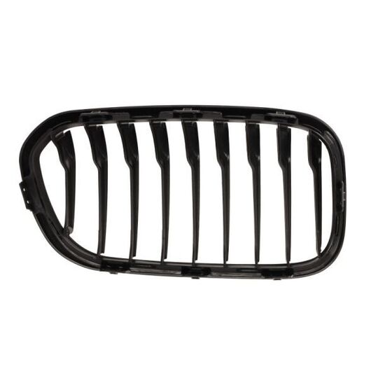 6502-07-0086997P - Radiator Grille 