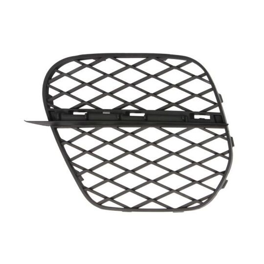 6502-07-0096925P - Ventilation Grille, bumper 