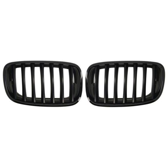 6502-07-0096990KP - Radiator Grille 