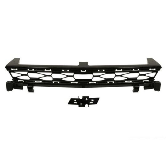 6502-07-1196990P - Radiator Grille 