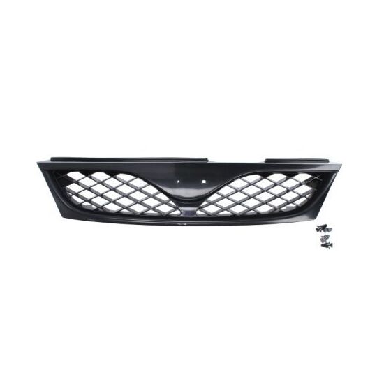 6502-07-1629993P - Radiator Grille 