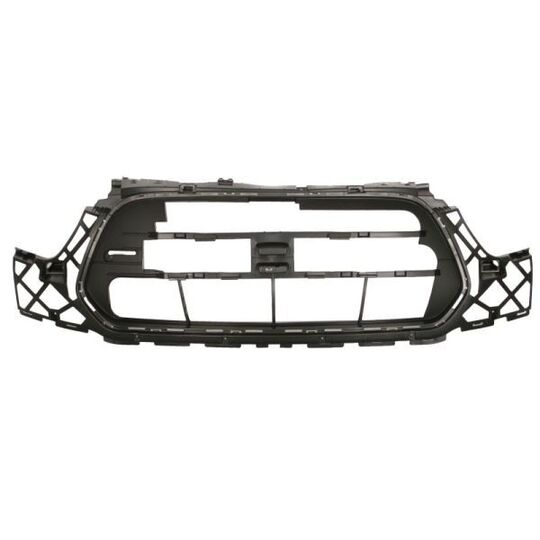 6502-07-2518995P - Radiator Grille 