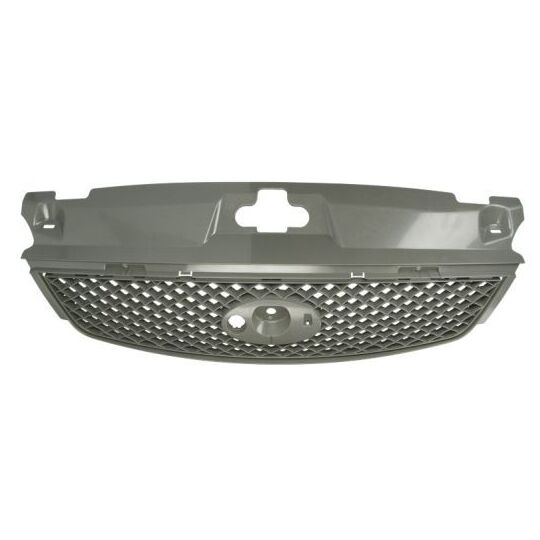 6502-07-2555995P - Grill 