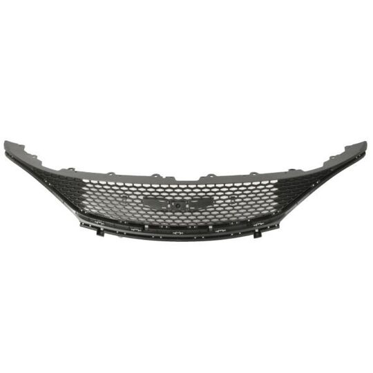 6502-07-2586990P - Radiator Grille 