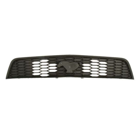 6502-07-2585992P - Radiator Grille 