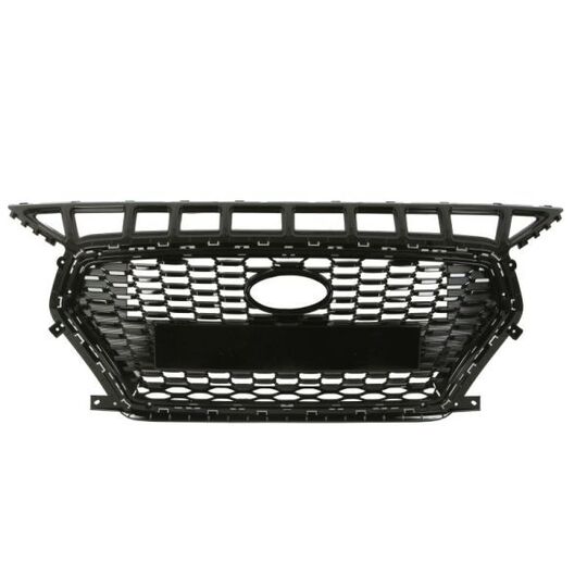 6502-07-3137991P - Radiator Grille 