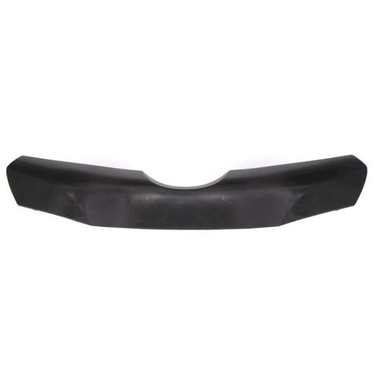 6502-07-3136925P - Trim/Protective Strip, bumper 