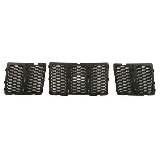 6502-07-3206992BP - Radiator Grille 