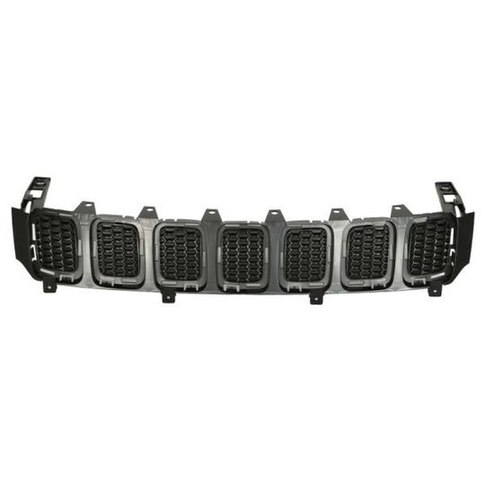 6502-07-3217990P - Radiator Grille 