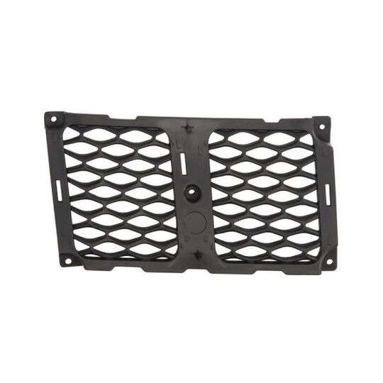 6502-07-3207994P - Radiator Grille 