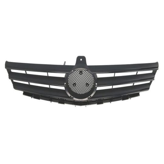 6502-07-3506994P - Radiator Grille 