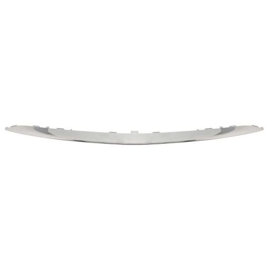 6502-07-3531910P - Trim/Protective Strip, bumper 