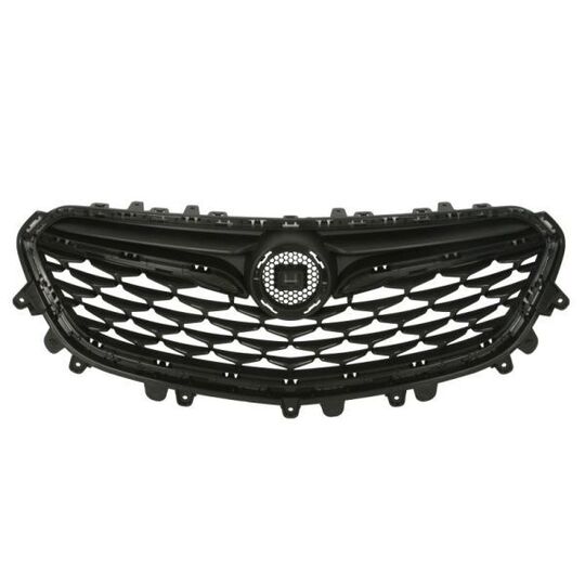 6502-07-5054990P - Radiator Grille 