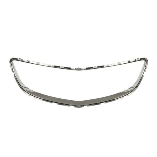 6502-07-5079997P - Trim/Protective Strip, radiator grille 