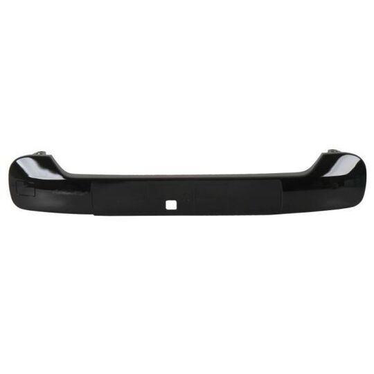 6502-07-5508916Q - Trim/Protective Strip, bumper 